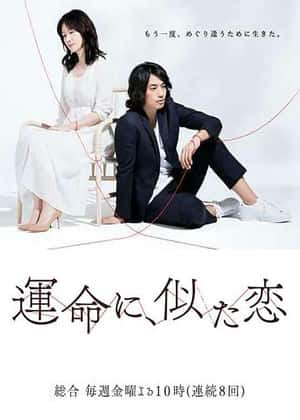 命运般的恋爱封面图