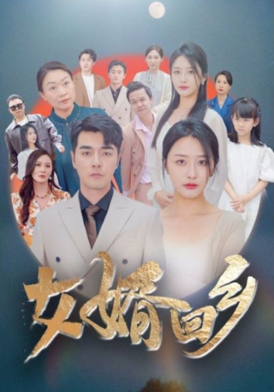 女婿回乡封面图