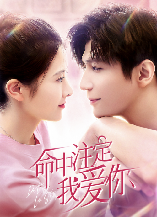我爱你命中注定封面图