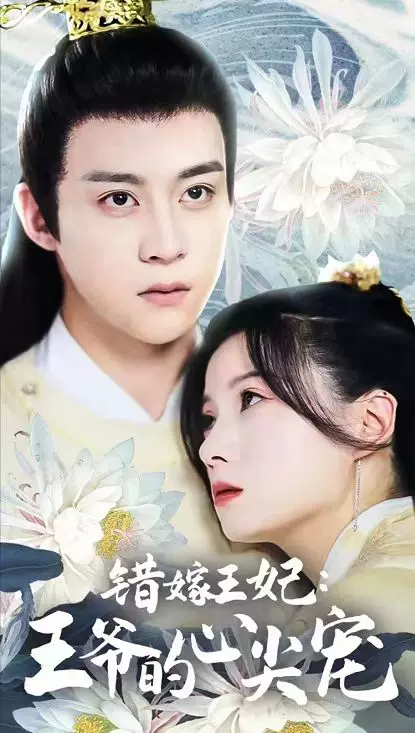 错嫁王妃王爷的心尖宠封面图