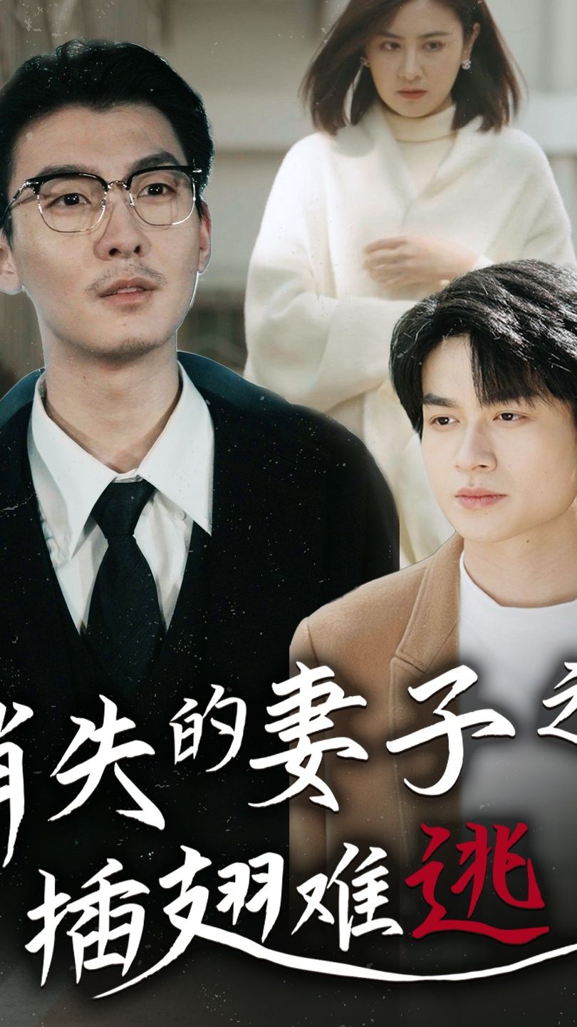 消失的妻子之插翅难逃封面图