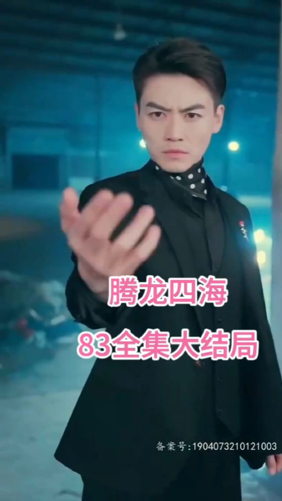 腾龙四海封面图