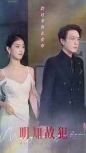 明知故犯封面图