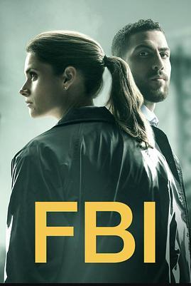 联邦调查局第二季封面图
