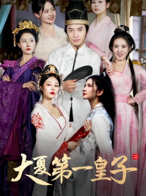 大夏第一皇子封面图