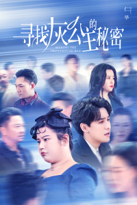 寻找灰公主的秘密封面图