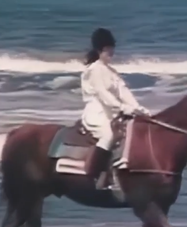 妻子与马封面图