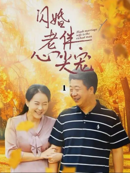 再回首闪婚之仍是心尖宠封面图