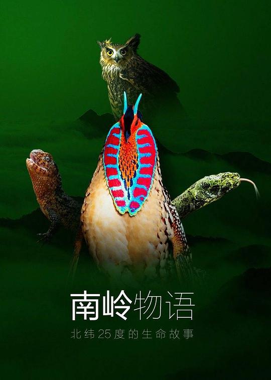 南岭物语封面图