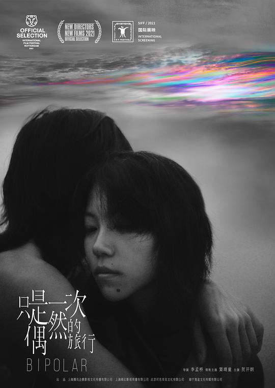 只是一次偶然的旅行封面图