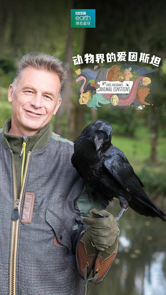 动物界的爱因斯坦 第一季封面图