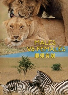 雌雄有别封面图