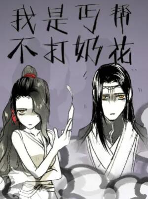 我是丐帮不打奶花封面图
