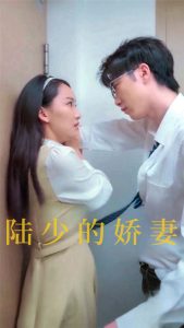 陆少的娇妻封面图