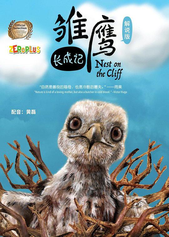 雏鹰长成记封面图