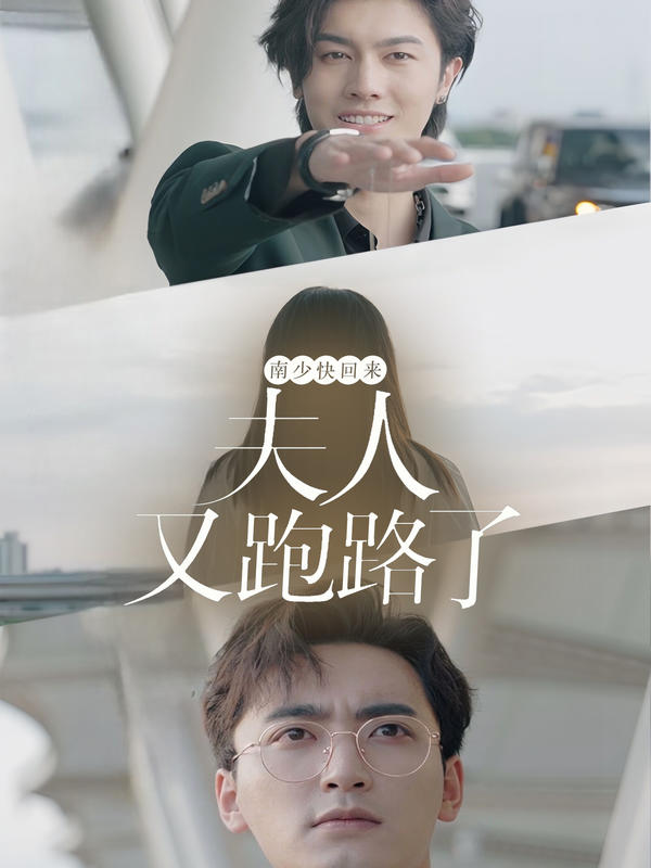 南少快回来，夫人又跑路了封面图