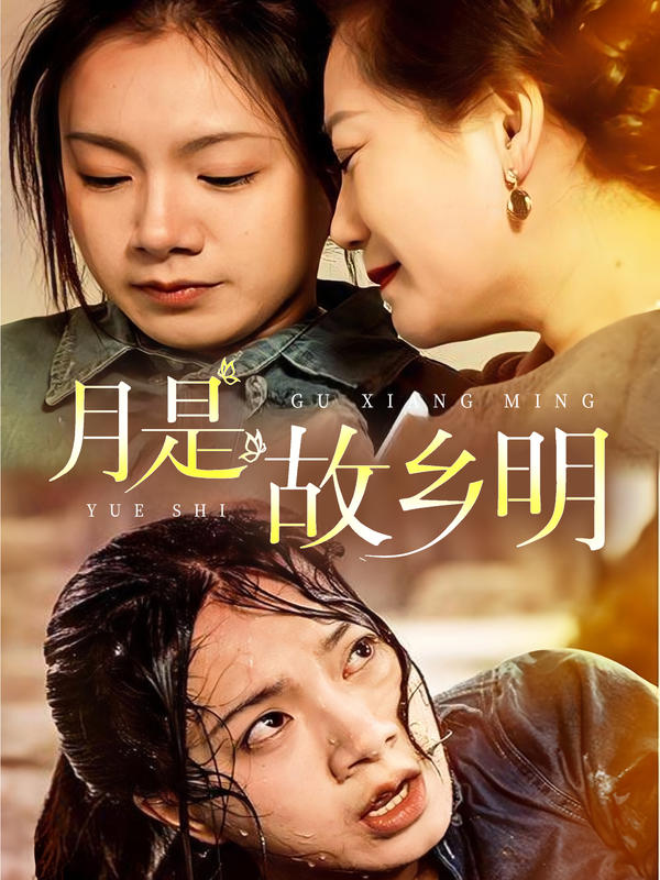 月是故乡明封面图