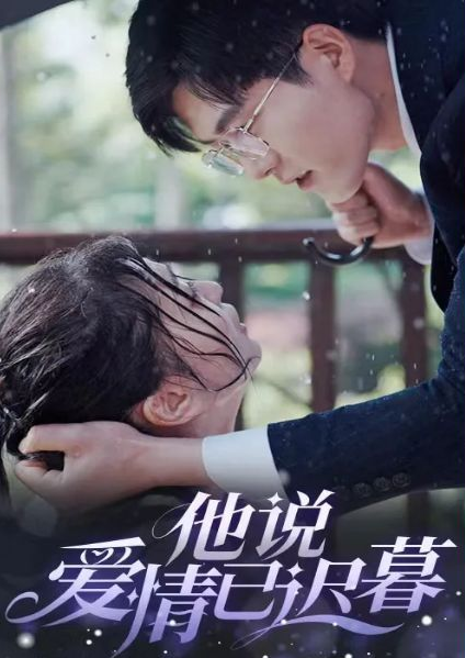 他说爱情已迟暮封面图