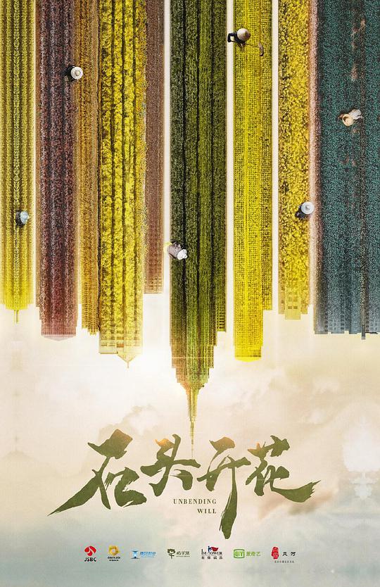 石头开花网络版封面图