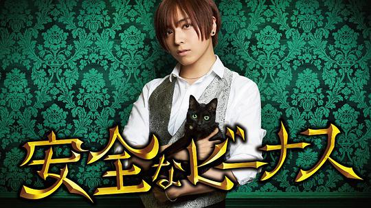 安全维纳斯封面图