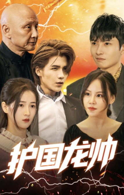 护国龙帅封面图