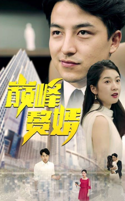 巅峰赘婿封面图