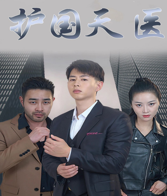 护国天医封面图