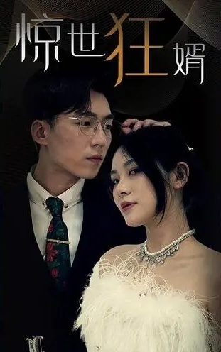 惊世狂婿封面图