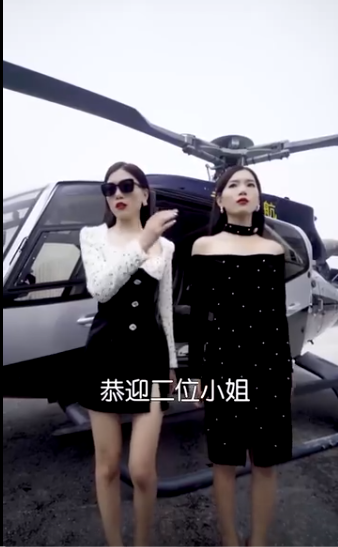 我的双胞胎姐妹封面图