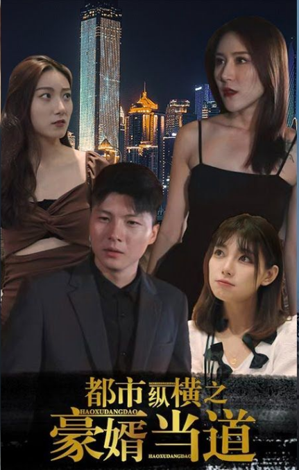 都市纵横之豪婿当道封面图