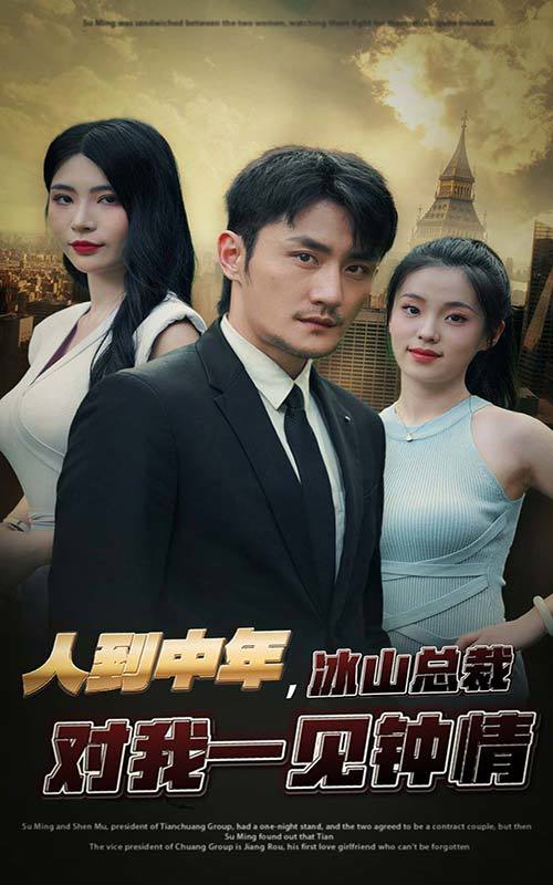 人到中年，冰山总裁对我一见钟情封面图