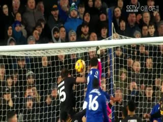 英超联赛 莱斯特城VS布莱顿 20241209封面图