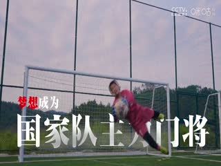 中国传承足球明星联赛 广州传承明星队VS四川恒创甲A明星足球队 20241110封面图