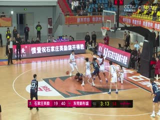 WCBA常规赛A组 石家庄英励VS东莞新彤盛 20241116封面图