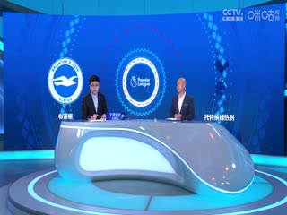 英超联赛 布莱顿VS托特纳姆热刺 20241006封面图