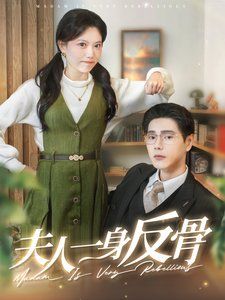 夫人一身反骨封面图