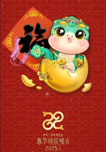 2025春节晚会封面图