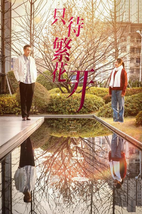 只待繁花开封面图