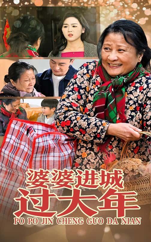 婆婆进城过大年封面图