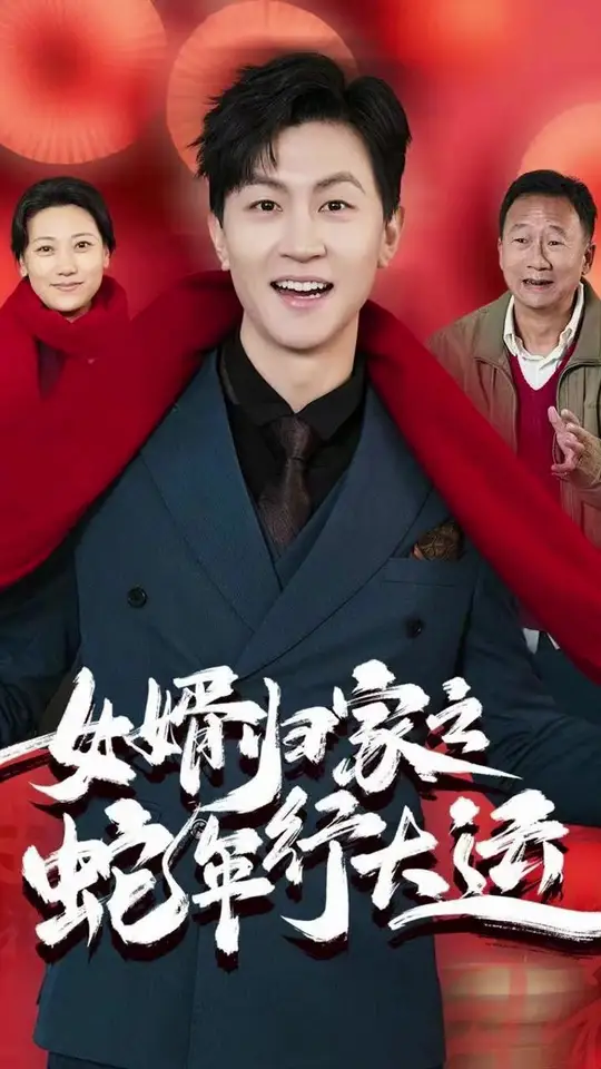 女婿归家之蛇年行大运封面图