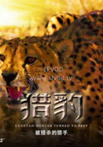猎豹·被捕杀的猎手封面图