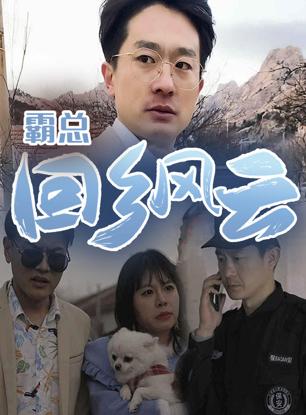 霸总回乡风云封面图