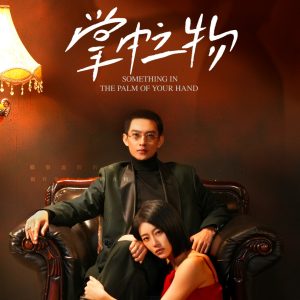 掌中之物封面图