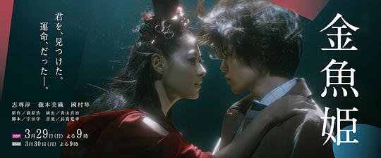 金鱼公主封面图