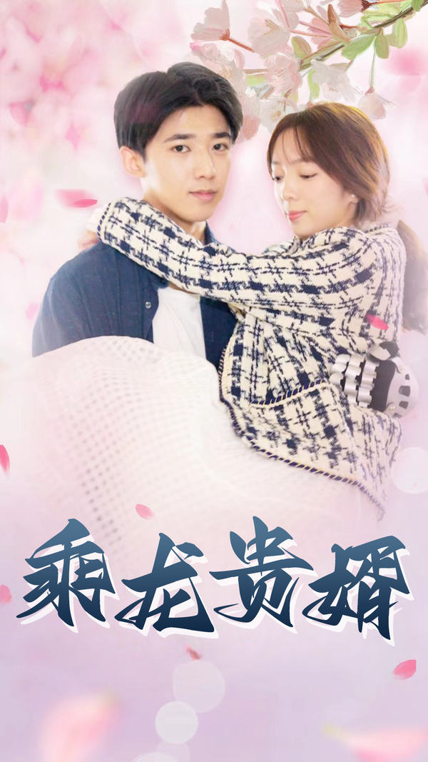 乘龙贵婿封面图