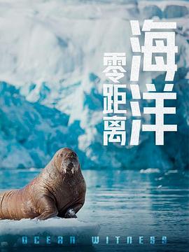 海洋零距离封面图