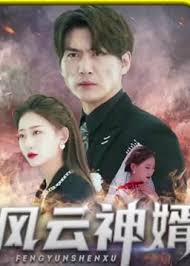 风云神婿封面图
