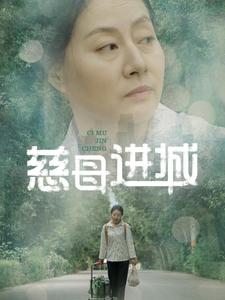 慈母进城封面图