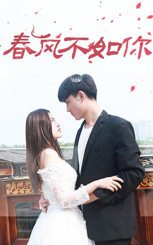 春风不如你封面图