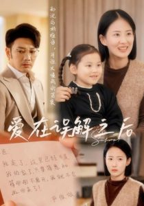 爱在误解之后封面图